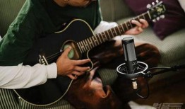 艺艺艺爆料山猫视频录音,艺艺艺爆料内幕大揭秘